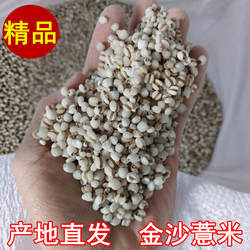 福建仙游金沙薏米仁2025新米农家优质杂粮薏仁米药用中药材小薏米