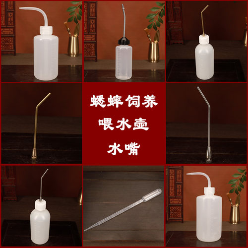 蟋韵蟋蟀蛐蛐黑虫油葫芦喂水壶