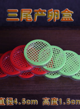 三尾蟋蟀蛐蛐产卵盒产卵槽蛐蛐产卵器塑料盒用具竹蛉盒筒50个包邮