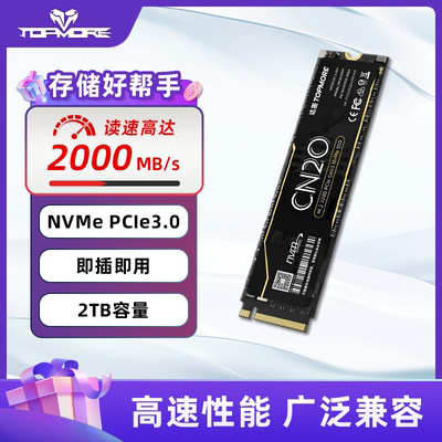 达墨M.2固态硬盘CN20高速PCIe3.0 2TB大容量SSD台式机NVMe笔记本