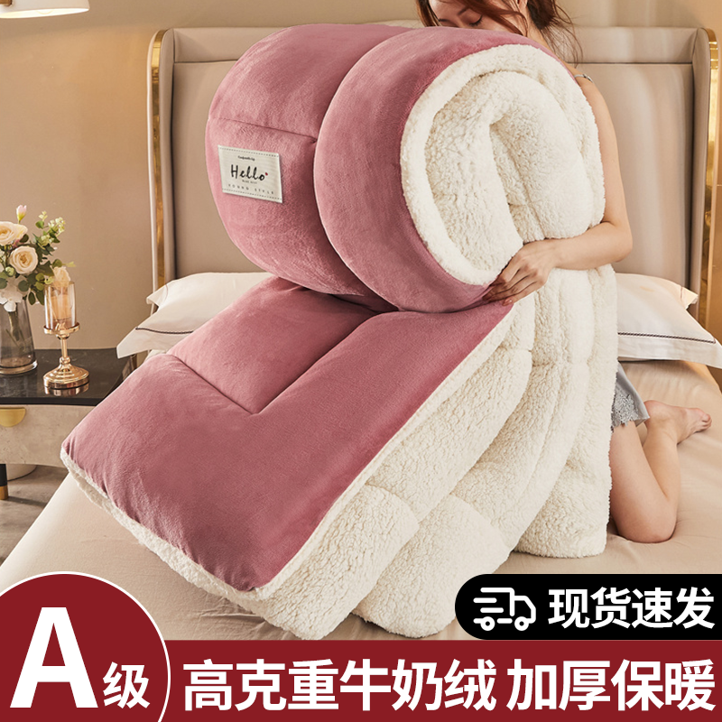 羊羔绒被子冬被棉被加厚保暖全棉秋冬被宿舍单人学生冬季儿童被芯