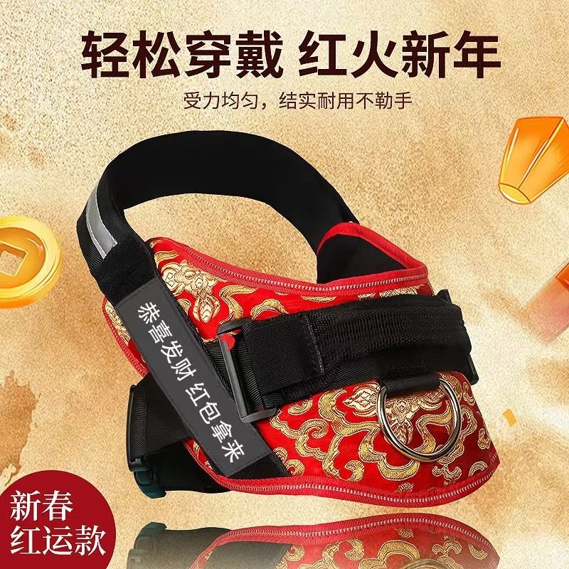 新年款狗狗牵引绳独特的刺绣设计
