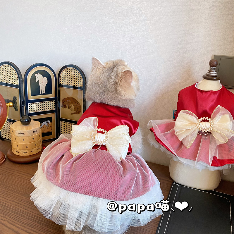 狗狗公主裙婚纱宠物马尔济斯