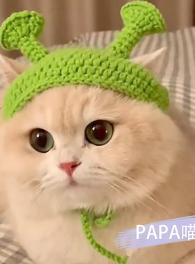 绿色网红宠物帽子猫咪痞幼头套狗狗可爱变装毛线针织英短配饰拍照