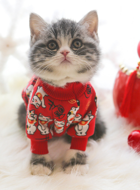 papa喵宠物新年喜庆加绒招财猫卫衣猫咪狗狗红色外套秋冬保暖卫衣