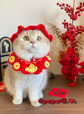 猫咪新年小红帽子漏耳朵红色毛球喜庆狗狗围巾宠物元宝铜钱头套装