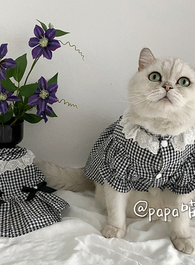 宠物猫咪狗狗蝴蝶结蓬蓬裙可爱春夏装公主黑色小格连衣裙拍照好看