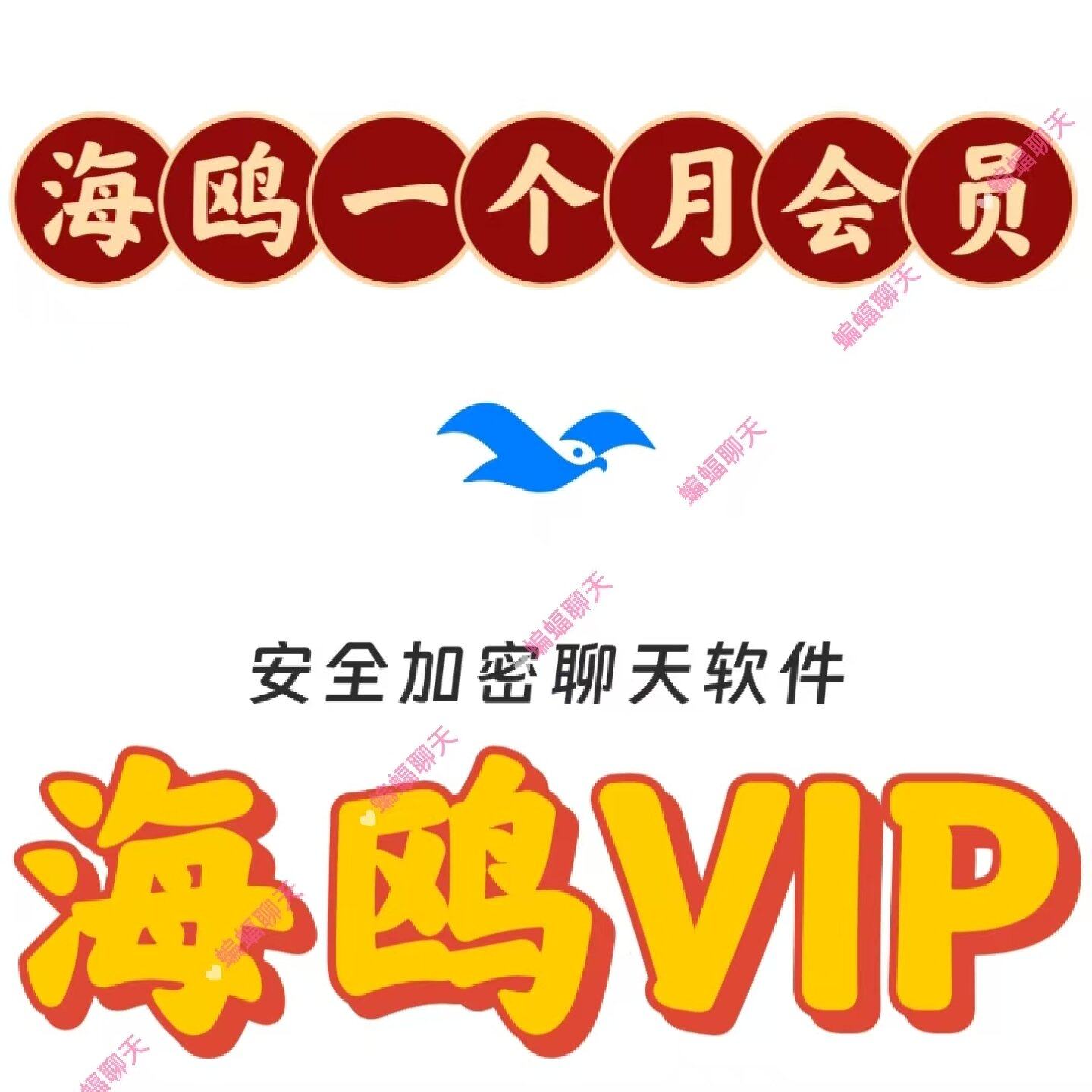 海鸥会员海鸥vip月会员一个月海鸥密聊