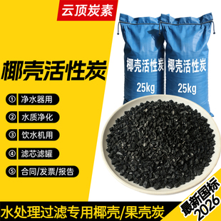 1000高碘值吸附过滤科研分析纯试剂化学实验用椰壳活性炭颗粒碳粉