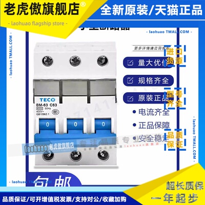 原装台安东元TECO BM63小型断路器 1P 2P 3P C型D型空气开关