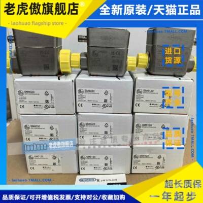 ifm易福门SM6020 SM6120 SM7120 SM8020 SM8030 SM6420电磁流量计