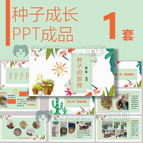 【B-075】种子豆芽生长过程一周观察图文并茂直接能用ppt教学课件