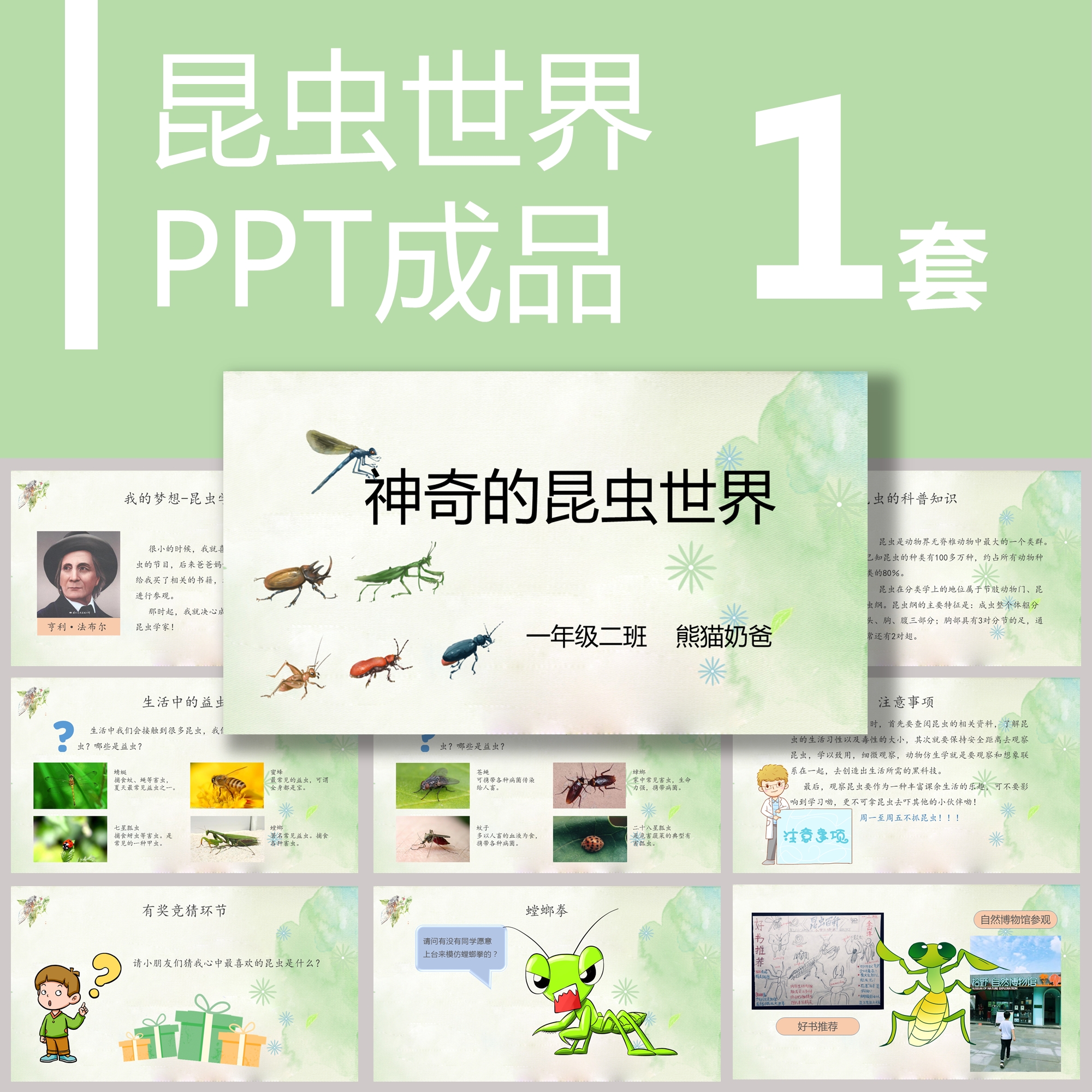 【b-018】昆虫世界ppt小学生演讲科普知识螳螂介绍昆虫动物讲解