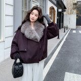 【新款】撞色毛领时尚羽绒外套C161-8995-P275-K418，女装羽绒服，2C161