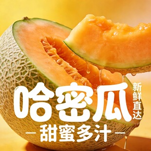 新鲜网纹瓜香甜当季水果网纹玫珑瓜新鲜哈密瓜当季水果玲珑包邮