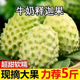 云南释迦果5斤新鲜凤梨牛奶佛头果大目番荔枝释迦牟尼果整箱包邮