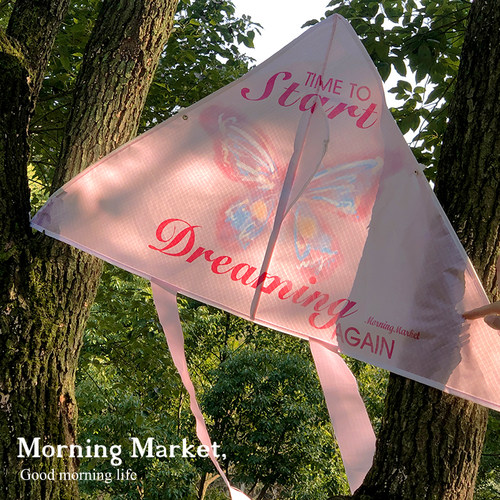 MorningMarket微风易飞蝴蝶风筝