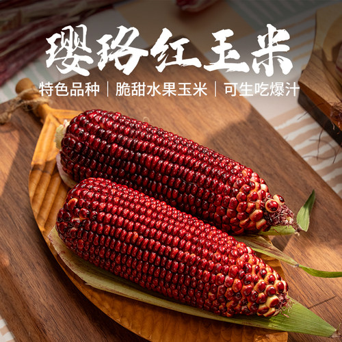 云南璎珞红玉米甜脆 可生吃/蒸煮/榨汁/煲汤 新鲜玉米带叶顺丰