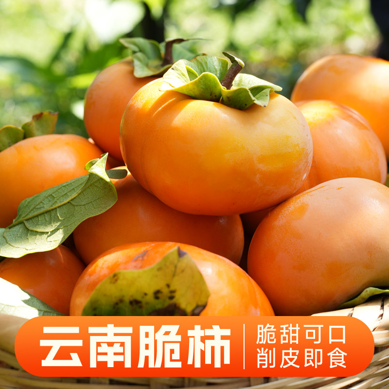 云南高原甜脆柿子新鲜水果3/5斤精选甜柿不涩削皮即食