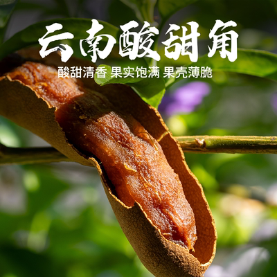 云南西双版纳酸甜角零食水果罗望子云南特产