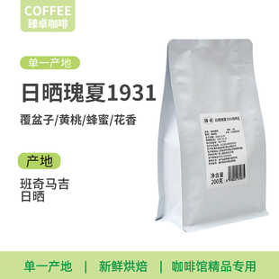 臻卓咖啡工厂日晒瑰夏1931咖啡豆浅中烘焙埃塞花香果香单品手冲豆