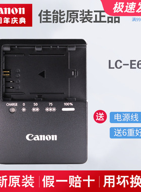 原装佳能EOS 6D 60D 70D 80D 90D R5 R6 5D4 6D2单反相机充电器