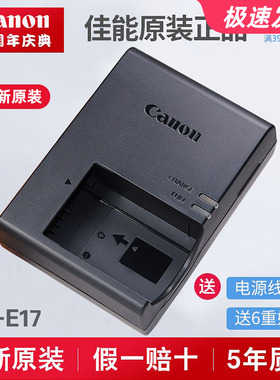 佳能EOS750D 760D 800D 77D 200D微单R50 RP M3 M6 R8原装充电器