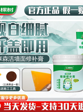 三棵树补墙膏防水防潮防霉墙面修补膏白色墙壁修复白墙腻子膏补墙