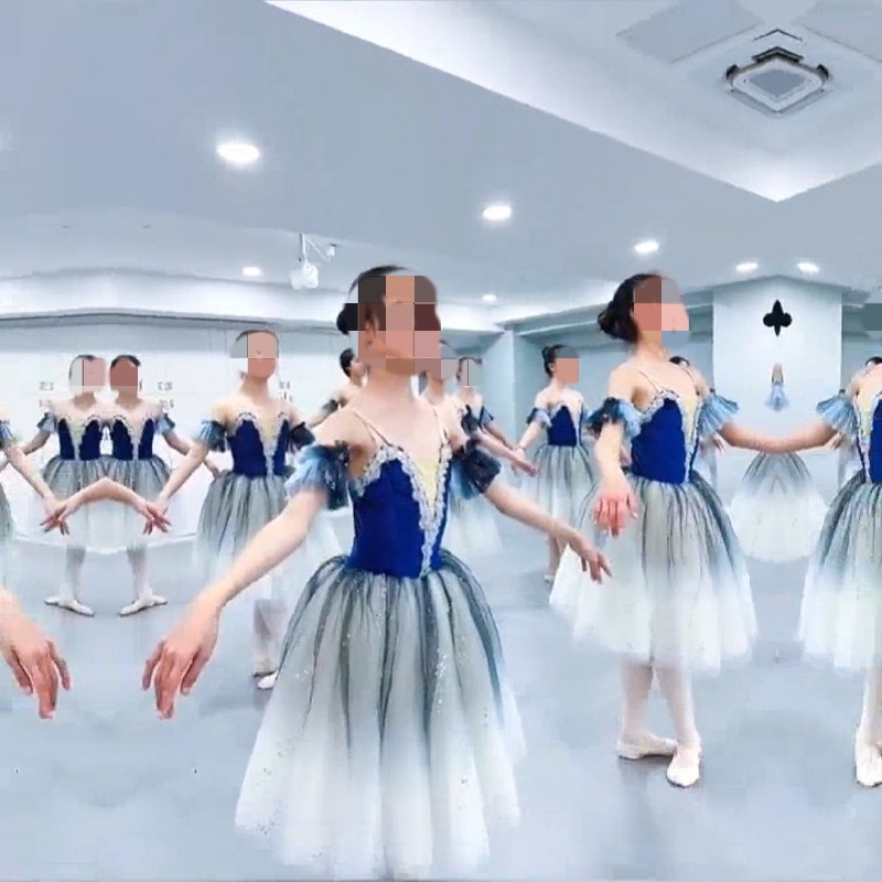 女童公主裙芭蕾舞蹈纱裙儿童芭蕾演出服天鹅湖纱裙TUTU纱裙蓬蓬裙