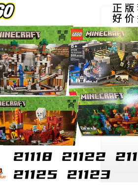 乐高21118我的世界21122铁傀儡21124 21125 minecraft积木21123