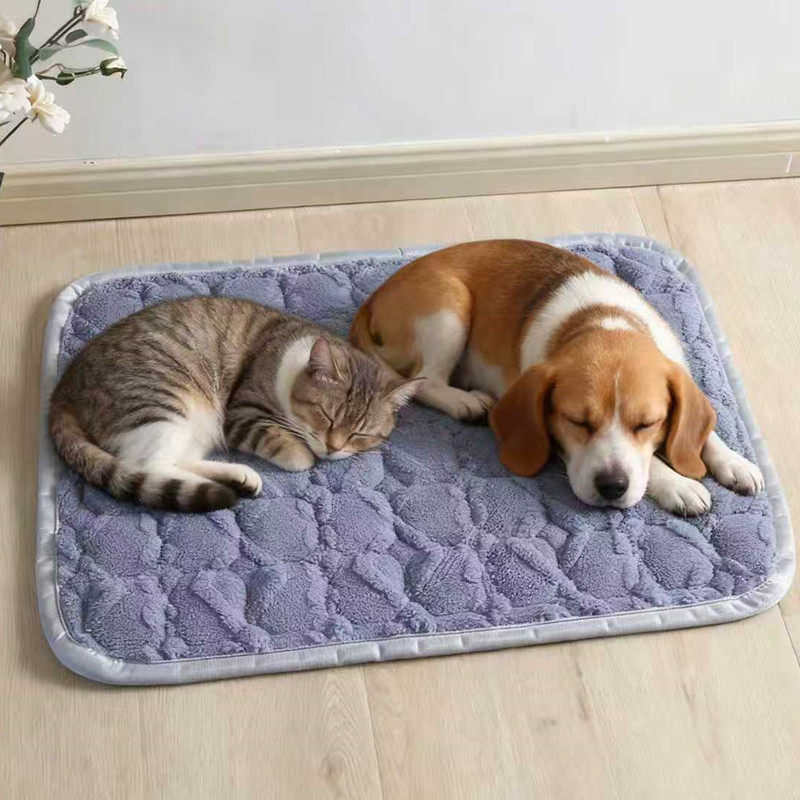 法兰绒保暖宠物垫泰迪蓝猫通用防滑可机洗不变形狗垫猫垫猫窝用品,宠物/宠物食品及用品,猫狗垫子,淘宝优惠券,粉丝福利购,淘宝优惠卷