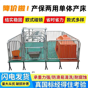 母猪单体双体产床产保两用双体产床国标热镀一体产床保育床定位栏