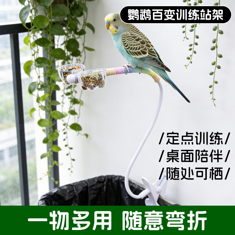 鹦鹉定点排便站架桌面拉粑粑垃圾桶站杆小太阳万能夹子拉屎神器