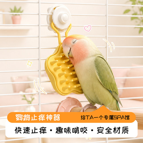 鹦鹉玩具专属SPA梳子轻松止痒趣味啃咬呵护羽毛健康日常护理好物