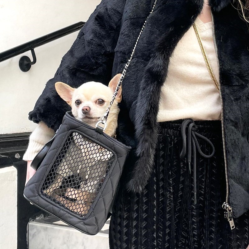 外出包OVERGLAM宠物小型犬背包