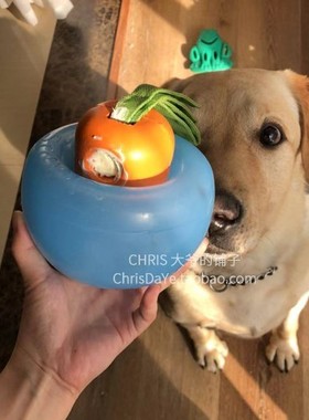 现货 PLANET DOG 探长球 PD 漏食丰容浮水玩具