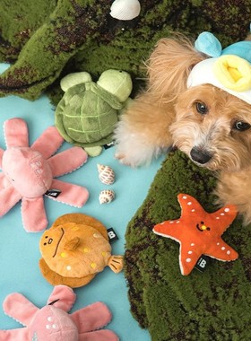 【现货】韩国Biteme宠物狗狗海星比目鱼海龟章鱼发声藏食玩具