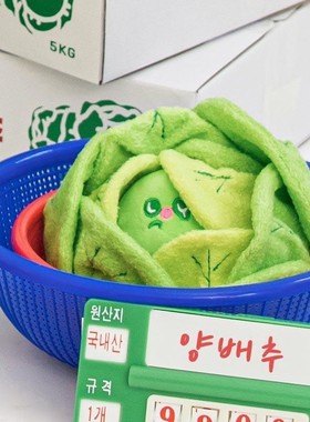 【现货】韩国正品biteme宠物狗狗可爱卷心菜漏食玩具嗅闻玩具