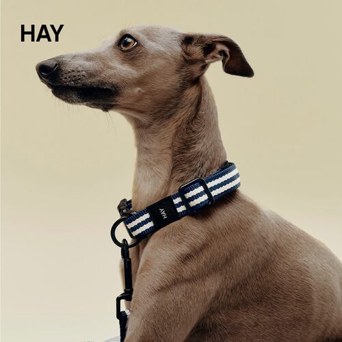 HAYDogsCollarFlat项圈宠物狗