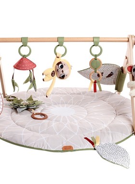 Tinylove婴儿健身架多功能音乐游戏垫多功能益智早教玩具毯