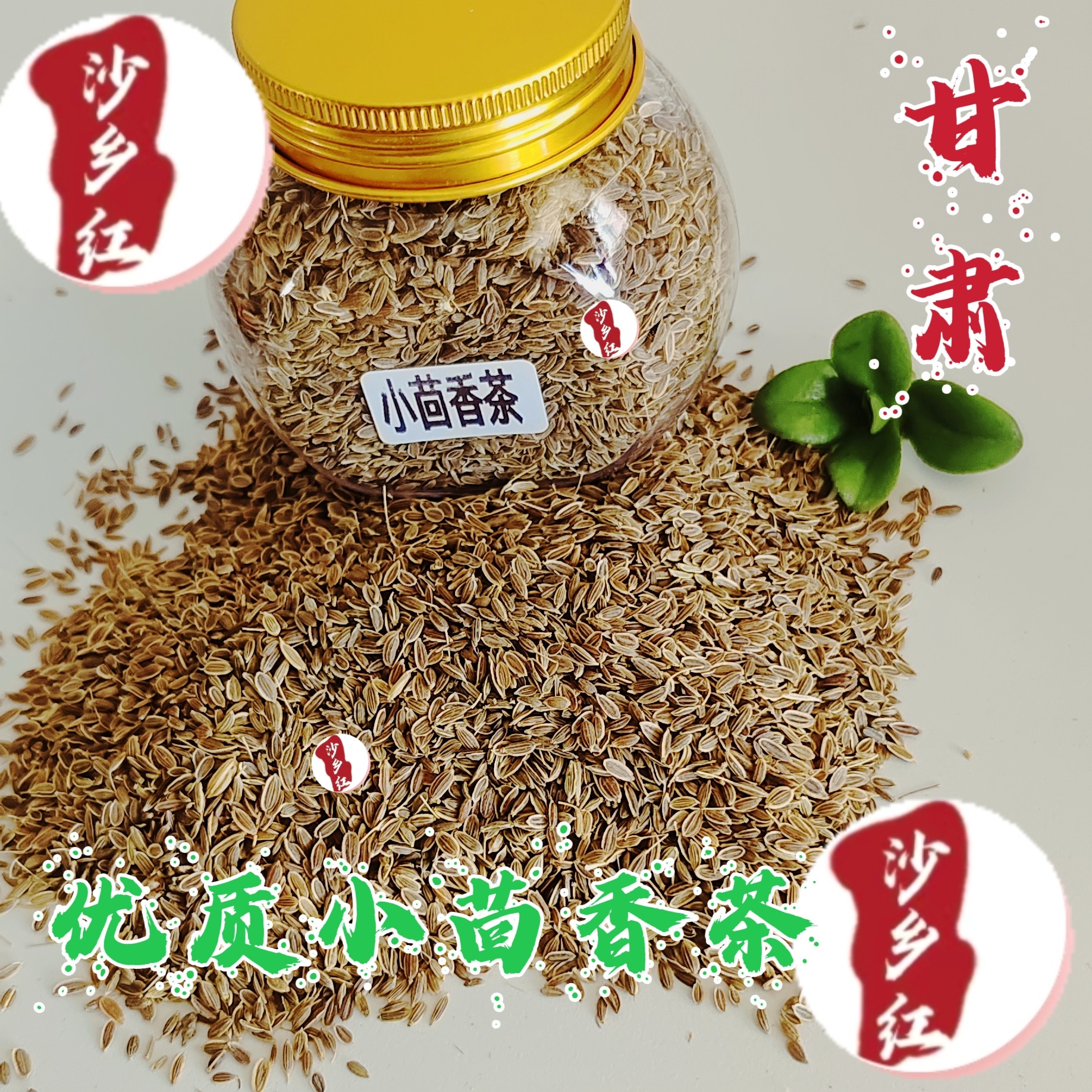 甘肃民勤小茴香茶沙漠特产小茴香籽小茴香子农家自种正品小茴香籽