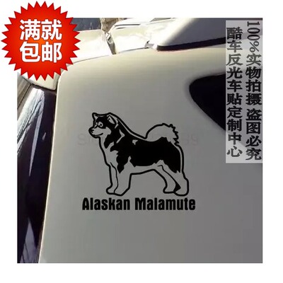 阿拉斯加雪橇犬 Alaskan Malamute 汽车贴纸 宠物车贴 防水贴