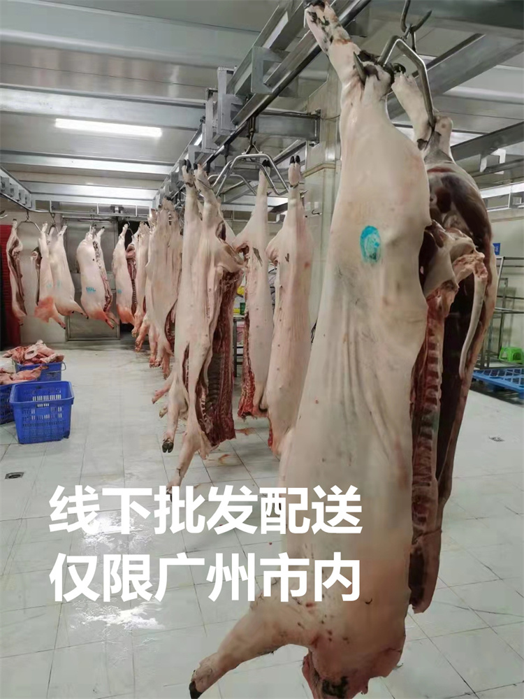 散养黑土猪新鲜现杀带皮腿肉排骨瘦肉龙骨扇子骨猪头骨