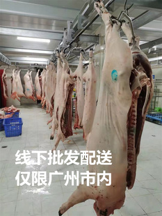 散养黑土猪新鲜现杀带皮腿肉排骨瘦肉龙骨扇子骨猪头骨