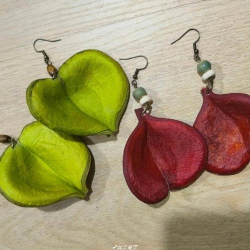 枝枝叶子耳环同款进口干果天然植物爱心壳耳饰新品创意果实耳环