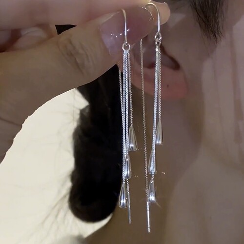 气质长款水滴流苏耳线女