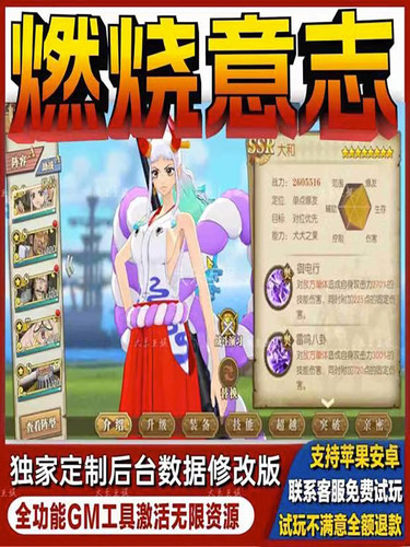 航海贼王燃烧意志gm后台满V修改内购版开局畅刷畅刷折扣包站