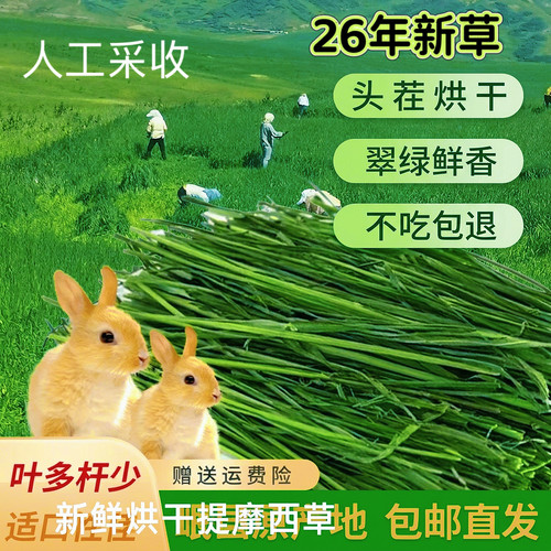26年头茬新草多叶草段