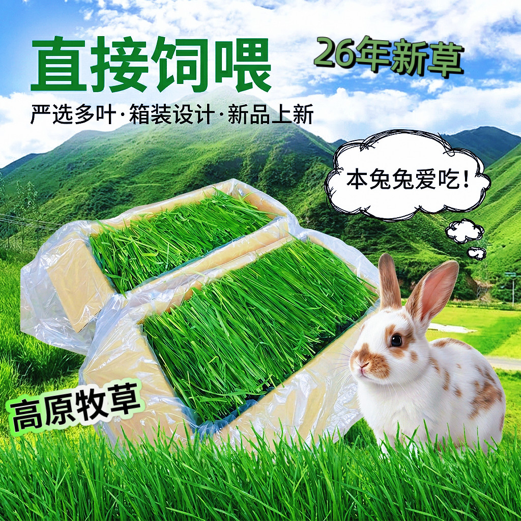 25年头茬多叶烘干草箱子