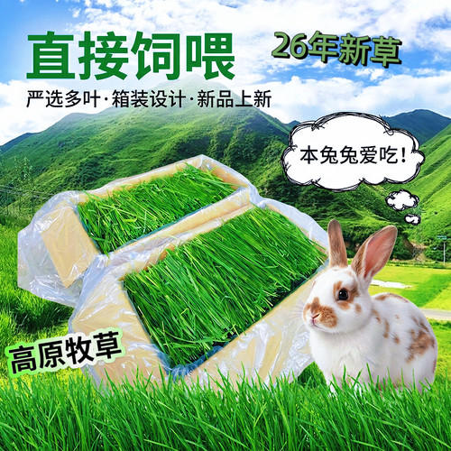 25年头茬多叶烘干草箱子